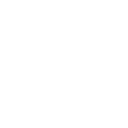 Ambassador of Africa