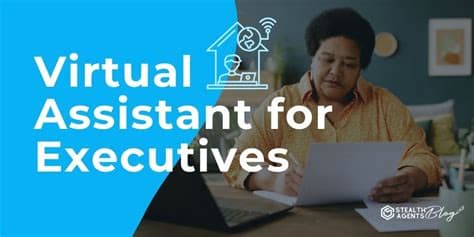 Executive-Level Virtual Assistant(Talent Pool)